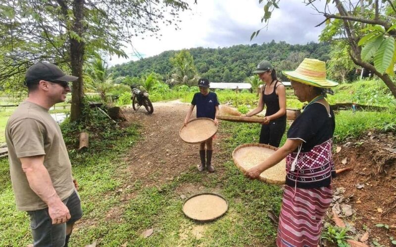 Chiang Mai: Half-Day Rice Farming Experience - Who Will Love This Tour?