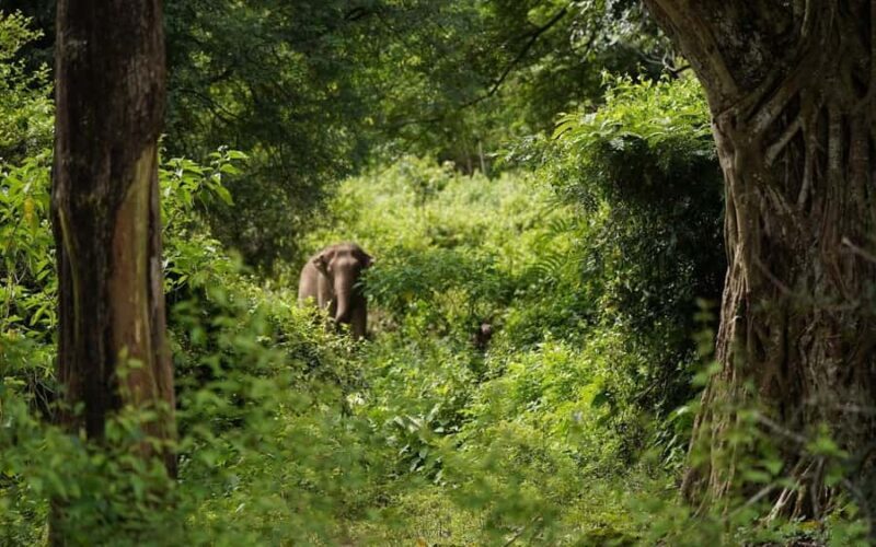 Chiang Mai Half-Day: River Tubing & Waterfall Slide - FAQ