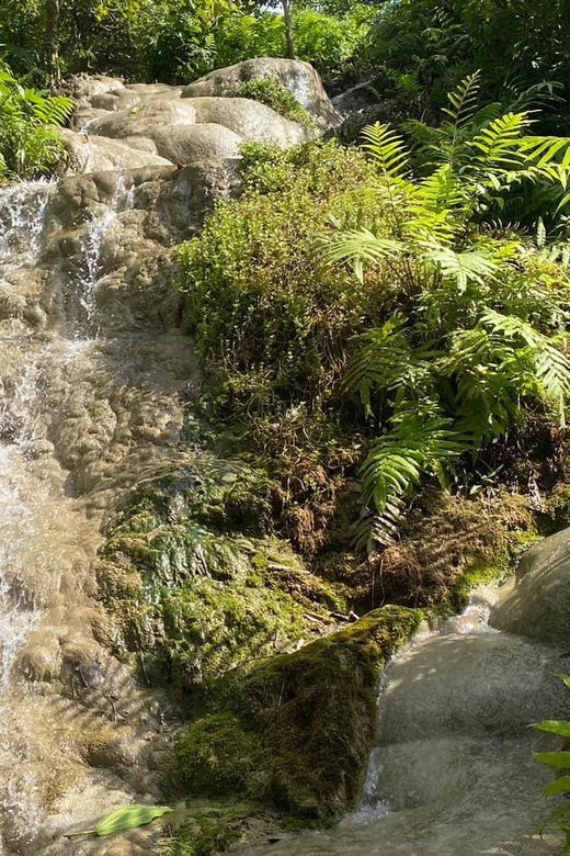 Chiang Mai Half Day Tour: Sticky Waterfall & Hotel Transfer - Since You Asked