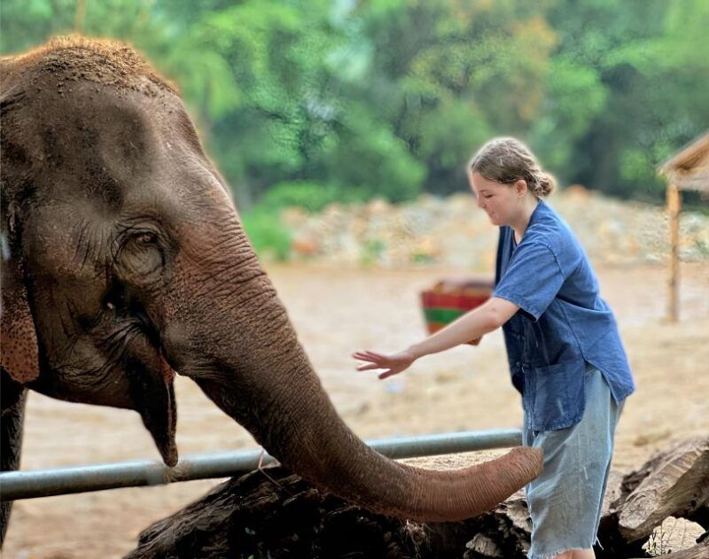 chiang-mai-highlight-in-one-day