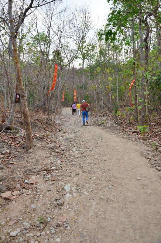 chiang-mai-hike-on-monks-trail-and-doi-suthep-private-tour