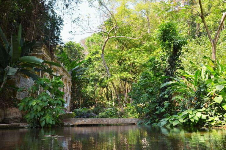 chiang-mai-hike-on-monks-trail-and-doi-suthep-private-tour