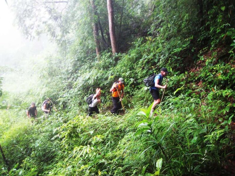 Chiang Mai: Hill Tribes Trek (Palong) with Lunch & Transfers - Final Thoughts: Who Will Appreciate This Experience?