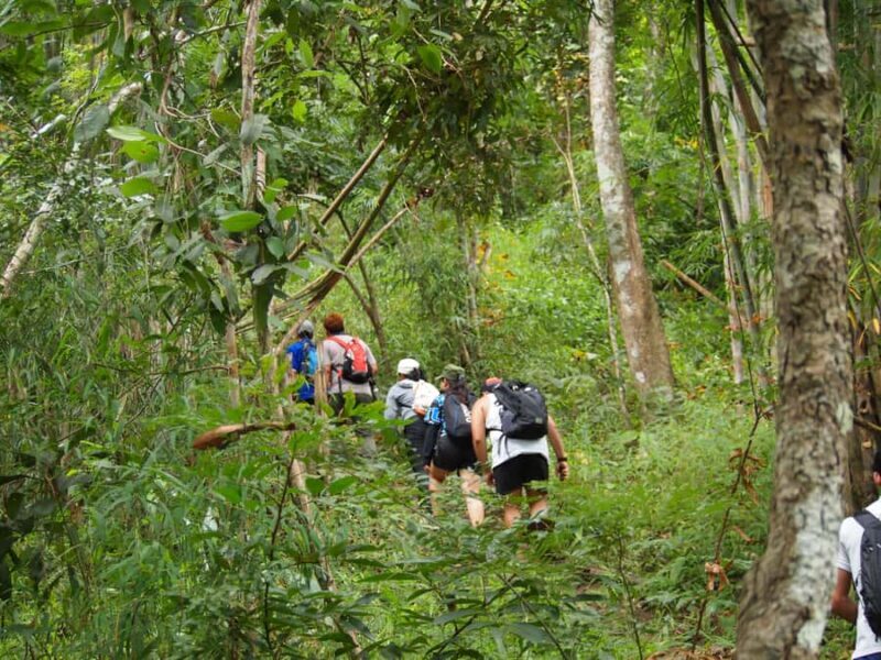 Chiang Mai: Hilltribe Hiking and Kayaking Day Trip - Who Will Love This Tour?