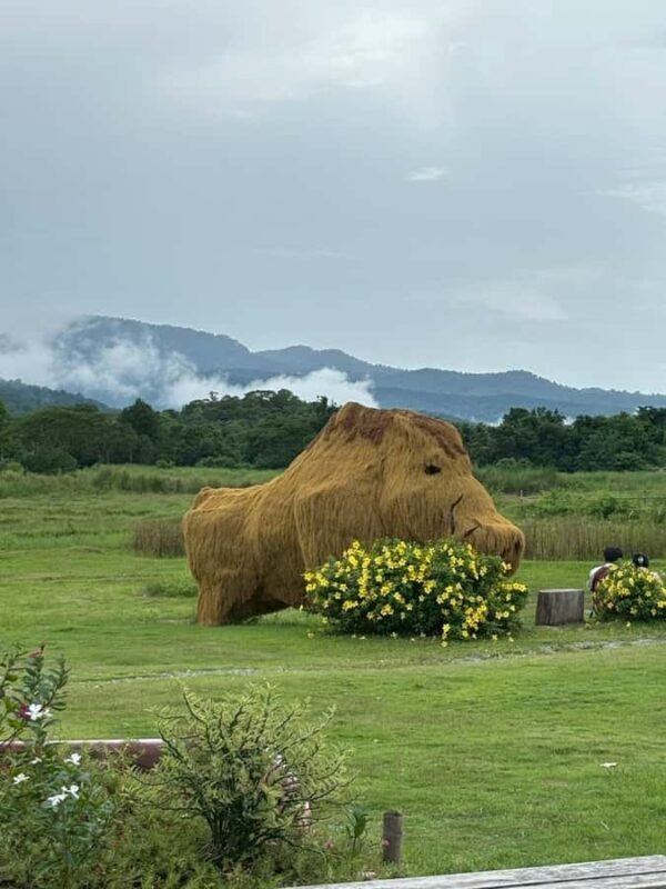 Chiang Mai: Huai Tueng Thao Half Day Tour with Lunch - Authentic Insights from Reviewers
