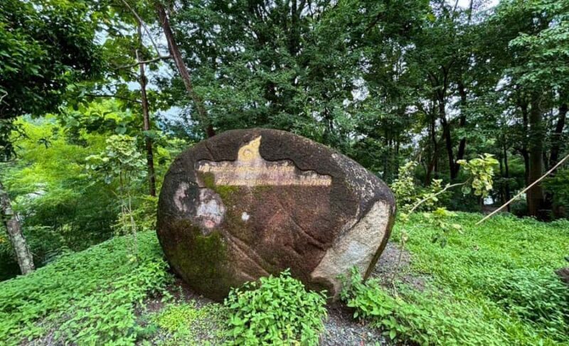 Chiang Mai: Huai Tueng Thao Half Day Tour with Lunch - Who Will Love This Tour?