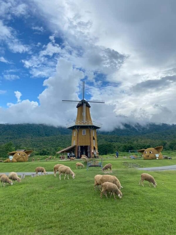 Chiang Mai: Huai Tueng Thao Lake Tour with Lunch & ATV - Key Points