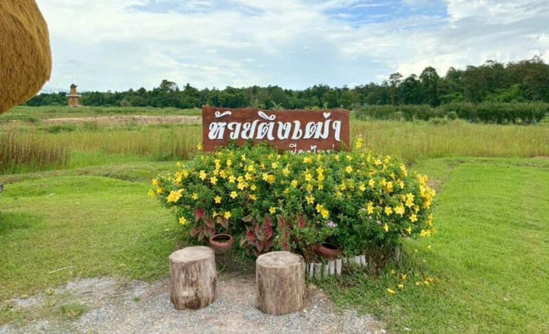 Chiang Mai: Huai Tueng Thao Lake Tour with Lunch & ATV - Final Thoughts: Is This Tour Worth It?