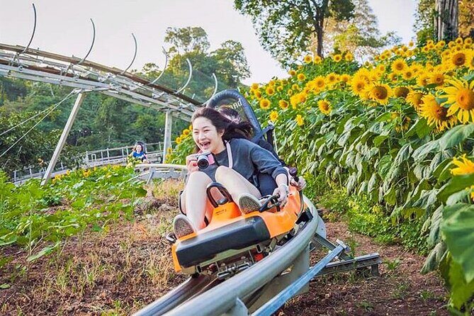 Chiang Mai Jungle Coaster Zipline Adventure ATV-ing Elephant Poo Poo Paper Park - Scenic Waterfalls and Refreshing Breaks