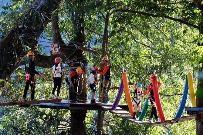 Chiang Mai Jungle Coaster Zipline Adventure ATV-ing Elephant Poo Poo Paper Park - Who Is This Tour Best For?