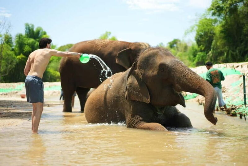 Chiang Mai: Jungle Jumbo Elephant Sanctuary with Waterfall - Key Points