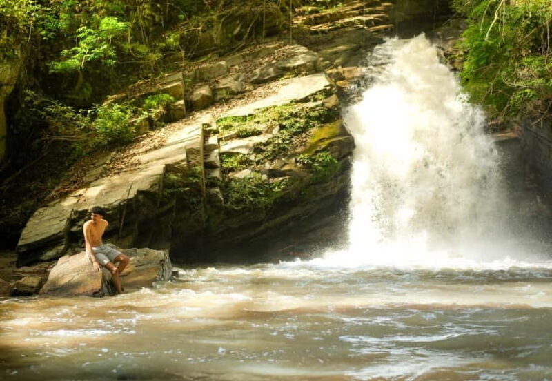 Chiang Mai: Jungle Jumbo Elephant Sanctuary with Waterfall - Authentic Review Highlights from Past Guests