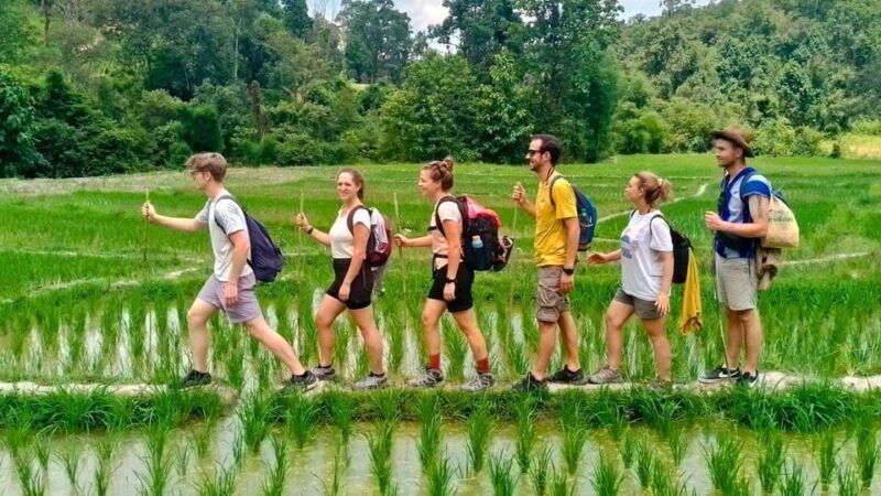 chiang-mai-jungle-trek-hill-tribe-bamboo-rafting