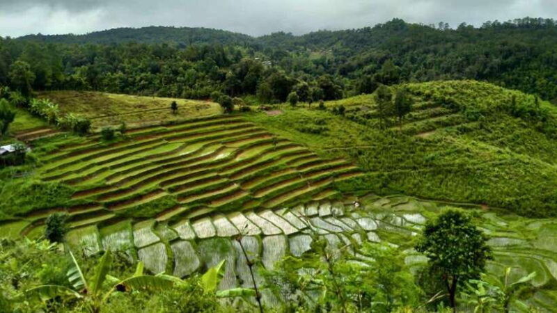 chiang-mai-jungle-trek-hill-tribe-bamboo-rafting