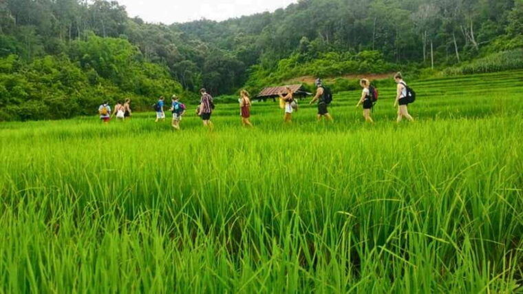 chiang-mai-jungle-trek-hill-tribe-bamboo-rafting