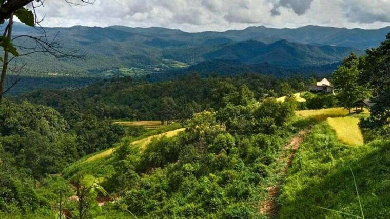 chiang-mai-jungle-trek-hill-tribe-bamboo-rafting