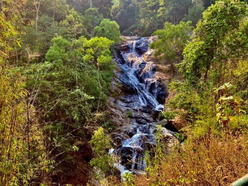 Chiang Mai: Karen Culture, Coffee & Nature Experience - Exploring the Experience: What to Expect on the Tour