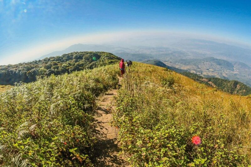 chiang-mai-kew-mae-pan-nature-trail-doi-inthanon-day-trip