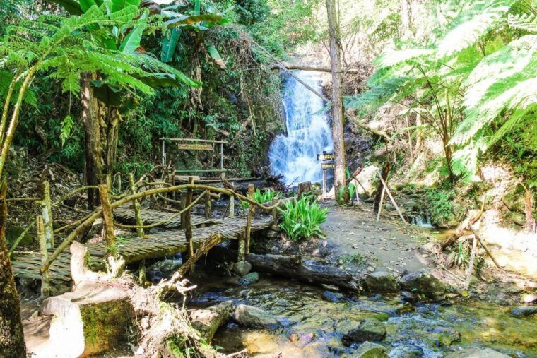 chiang-mai-kew-mae-pan-nature-trail-doi-inthanon-day-trip
