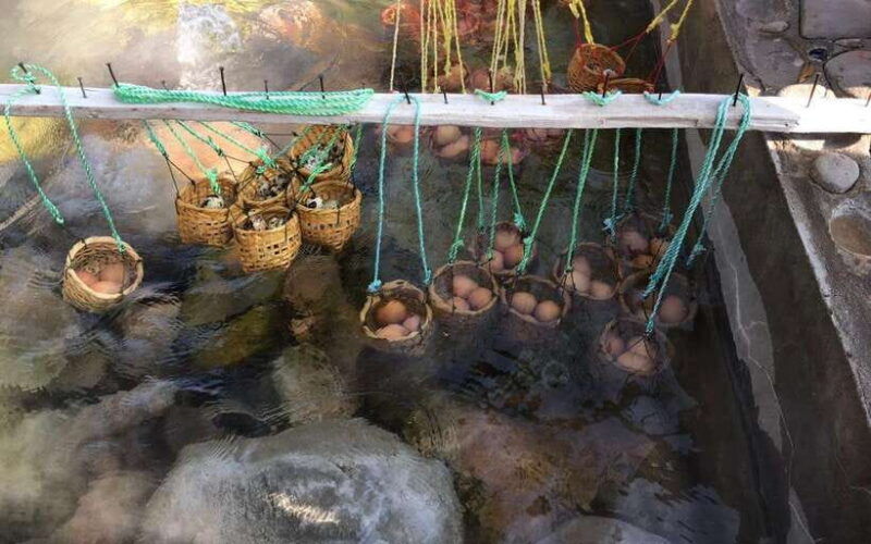 chiang-mai-lalita-cafe-white-blue-big-buddha-temples