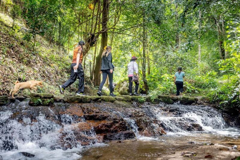 Chiang Mai: Mae Kampong Jungle Hike and Cooking Class - Practical Tips for Travelers