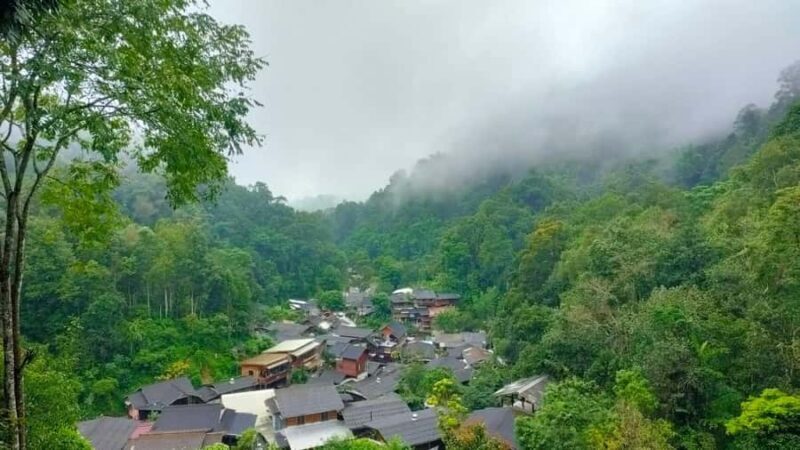 Chiang Mai: Mae Kampong Village, Hot Springs & Bor Sang Tour - Key Points