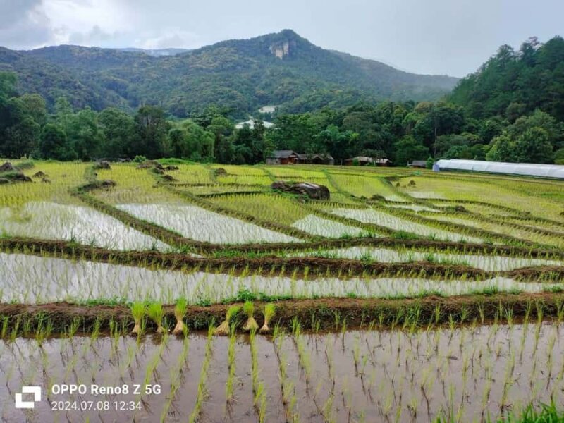 Chiang Mai: Mae Ya Waterfall & Pha Dok Siew Trail Trek - Who Would Love This Tour?