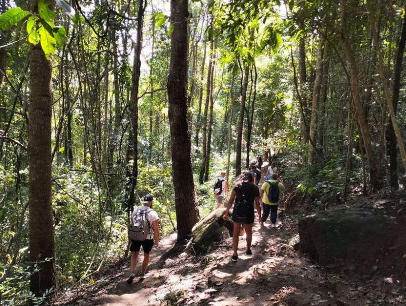 chiang-mai-mae-ya-waterfall-pha-dok-siew-trail-trek