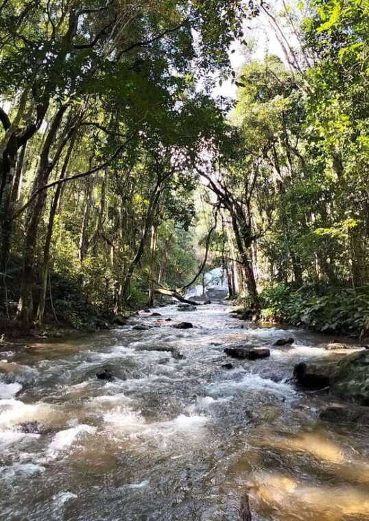 chiang-mai-mae-ya-waterfall-pha-dok-siew-trail-trek