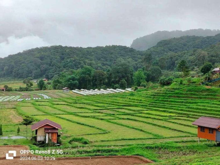 chiang-mai-mae-ya-waterfall-pha-dok-siew-trail-trek
