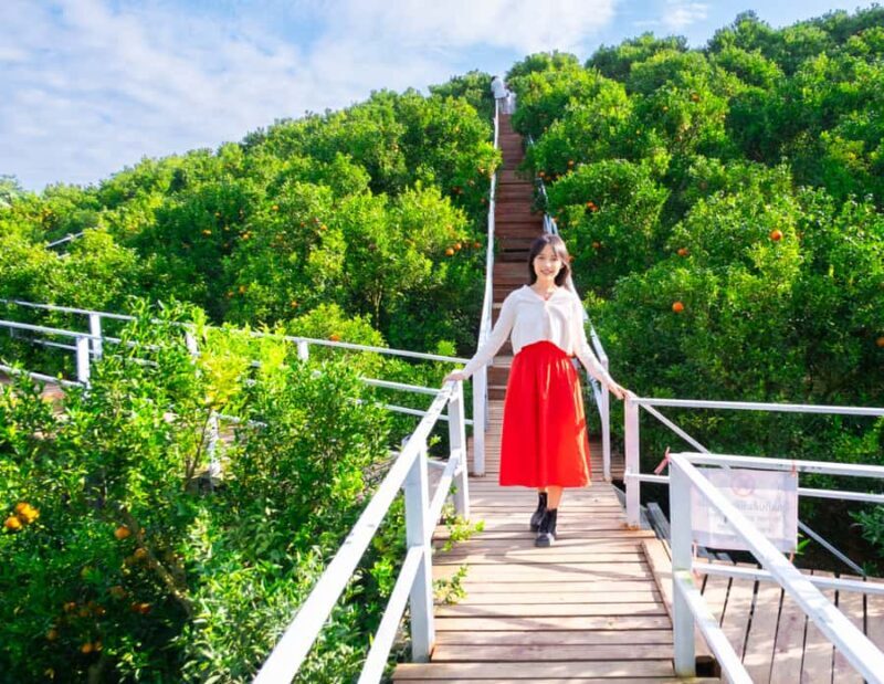 Chiang Mai: Mon Jam Flower Hills, Alpaca Cafe & Dantewada - Who Should Consider This Tour?