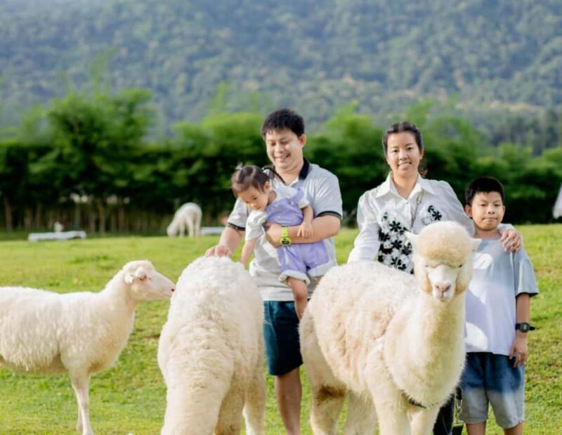 Chiang Mai: Mon Jam Flower Hills, Alpaca Cafe & Dantewada - FAQ