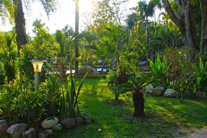 Chiang Mai Muay Thai Boxing Experience - Why This Tour Works for Different Travelers