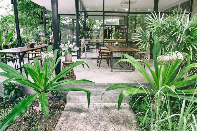 Chiang Mai Muay Thai Boxing Experience - A Closer Look at the Reviews