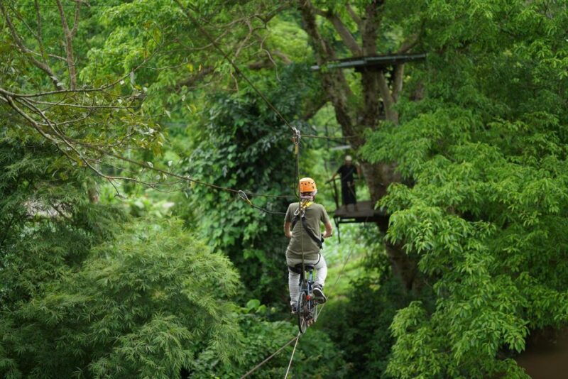 chiang-mai-national-elephant-care-rafting-ziplines-trip