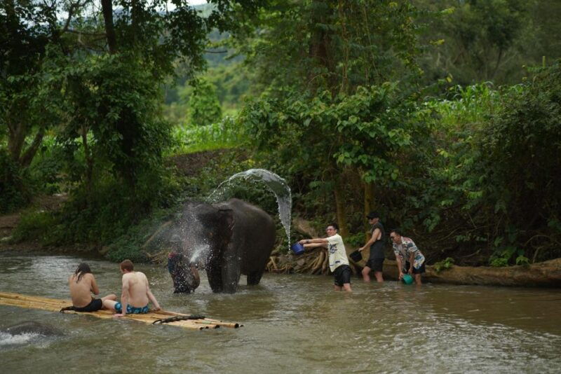 chiang-mai-national-elephant-care-rafting-ziplines-trip