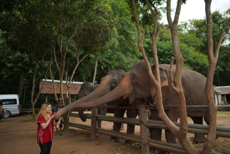 chiang-mai-national-elephant-care-rafting-ziplines-trip