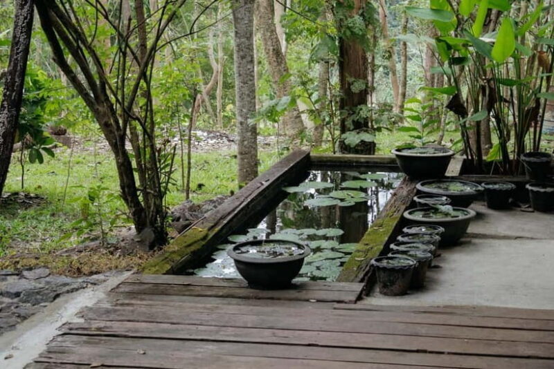 Chiang Mai: Nature and Nurture 1-Day All About Love Retreat - A Day of Love in Chiang Mai: What to Expect 