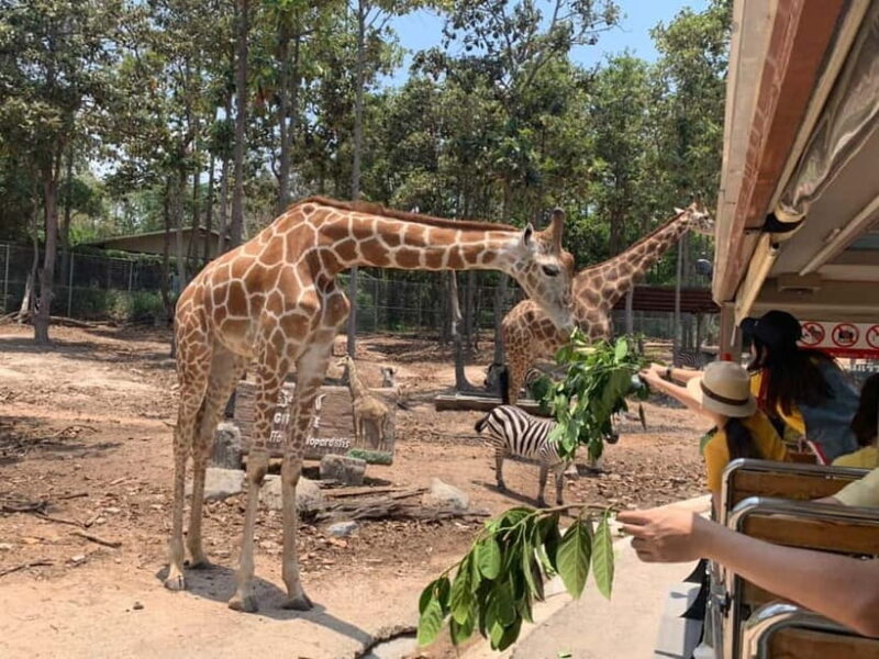 Chiang Mai Night Safari: Entry Ticket with Tram Ride - FAQ