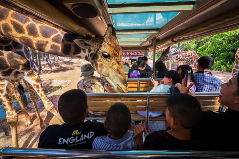 Chiang Mai Night Safari Full Access Ticket & Optional Pickup - What Is the Chiang Mai Night Safari?