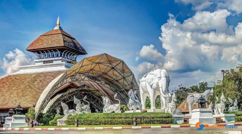 Chiang Mai Night Safari Full Access Ticket & Optional Pickup - Authentic Experiences and Insights from Reviewers