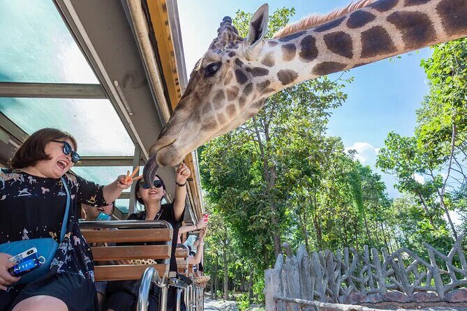 Chiang Mai Night Safari Park Ticket - Key Points