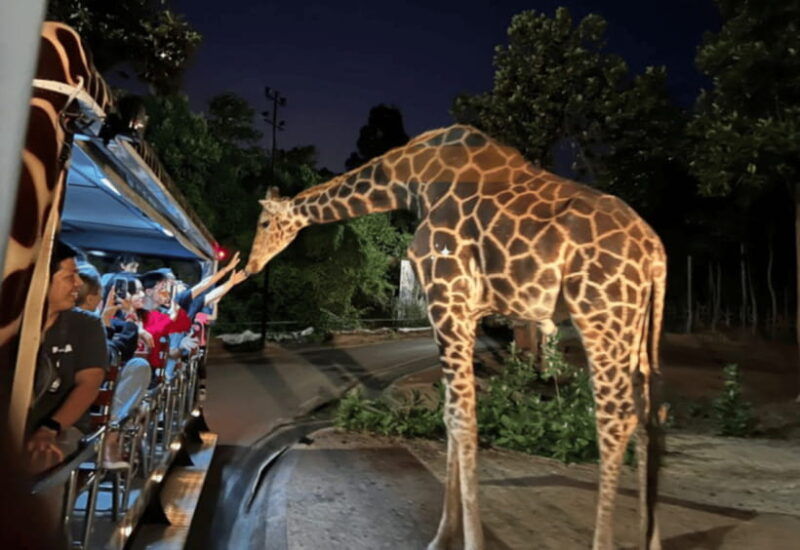 chiang-mai-night-safari-ticket-with-transfer