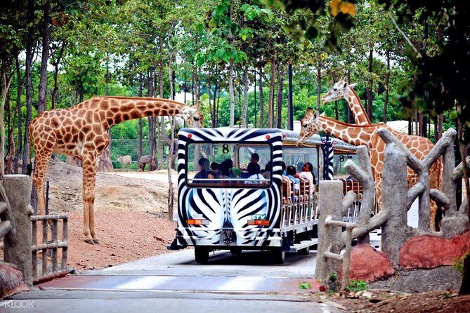 Chiang Mai Night Safari Tour including Transfer (Minimum 2 pax) - Detailed Breakdown of the Itinerary