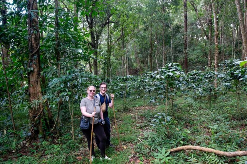 Chiang Mai: Off the Map Jungle Coffee Farm Trek Roast & Brew - Why This Tour Offers Exceptional Value