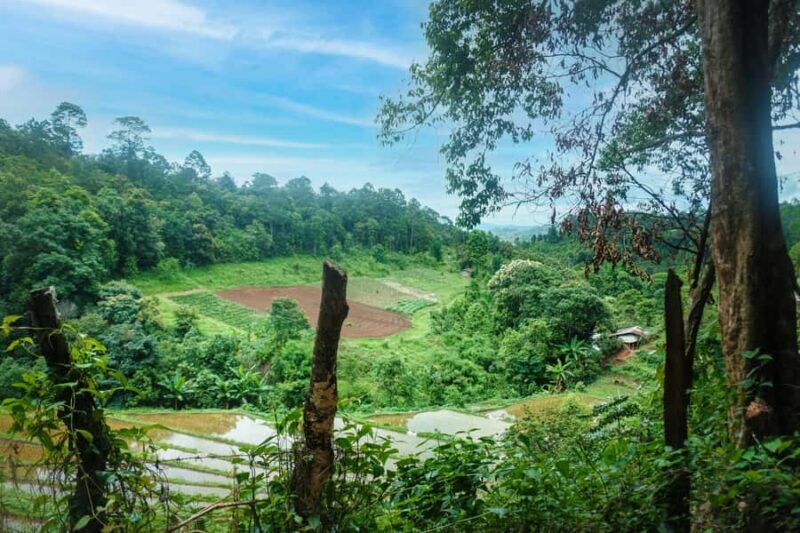 Chiang Mai: Off the Map Jungle Coffee Farm Trek Roast & Brew - Who Should Consider This Experience