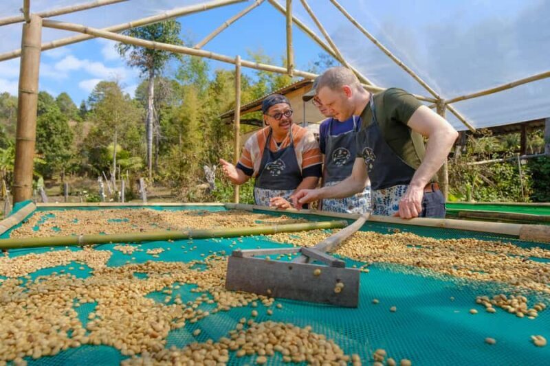 Chiang Mai: Off the Map Jungle Coffee Farm Trek Roast & Brew - FAQ