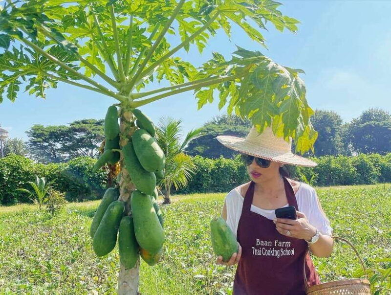 chiang-mai-organic-thai-cooking-experience