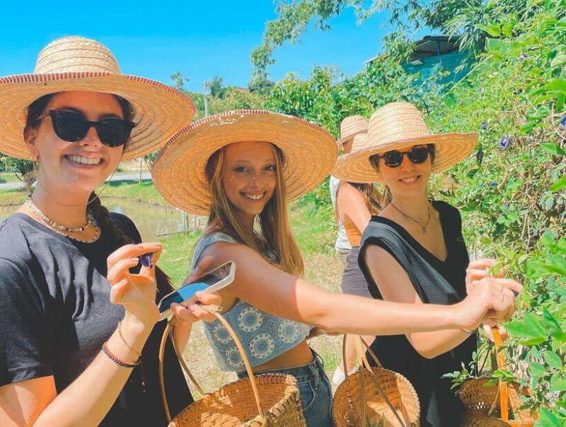 chiang-mai-organic-thai-cooking-experience