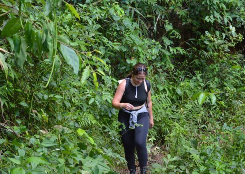 Chiang Mai: Overnight Doi Inthanon & Hands-Off Elephant Tour - Exploring Doi Inthanon: Peak of Scenic and Cultural Wonder